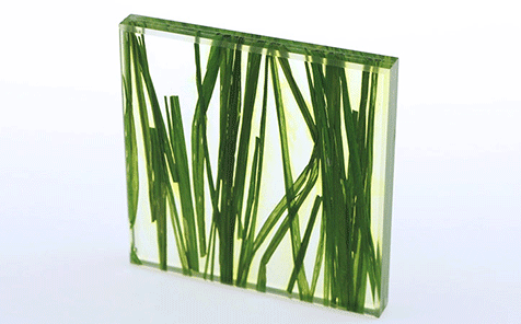 Custom size green grass decorative art laminated glass