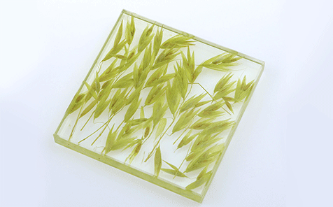 Custom size yellow wheat decorative art laminated glass